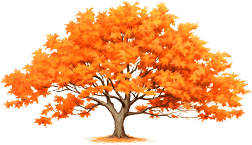 Sugar Maple Tree PNG