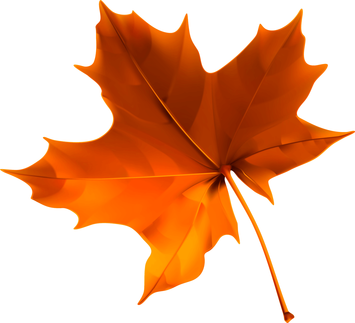 Fall Leaves PNG