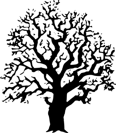 Oak Tree PNG