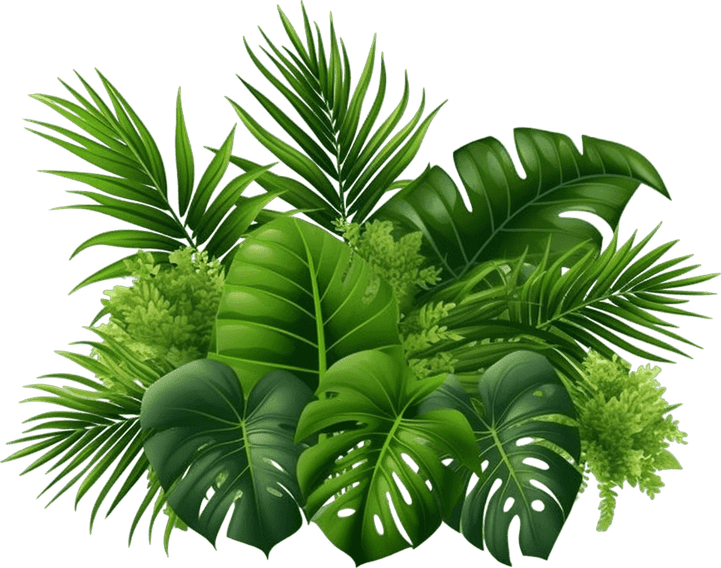 Jungle Leaves Border PNG