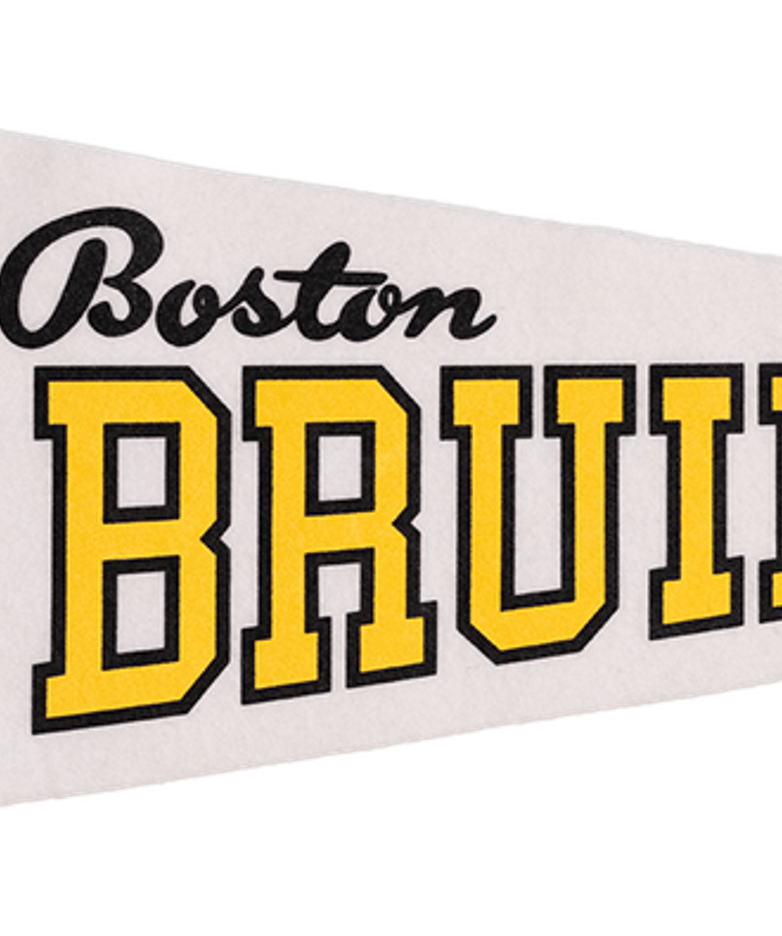 Bruins Logo PNG