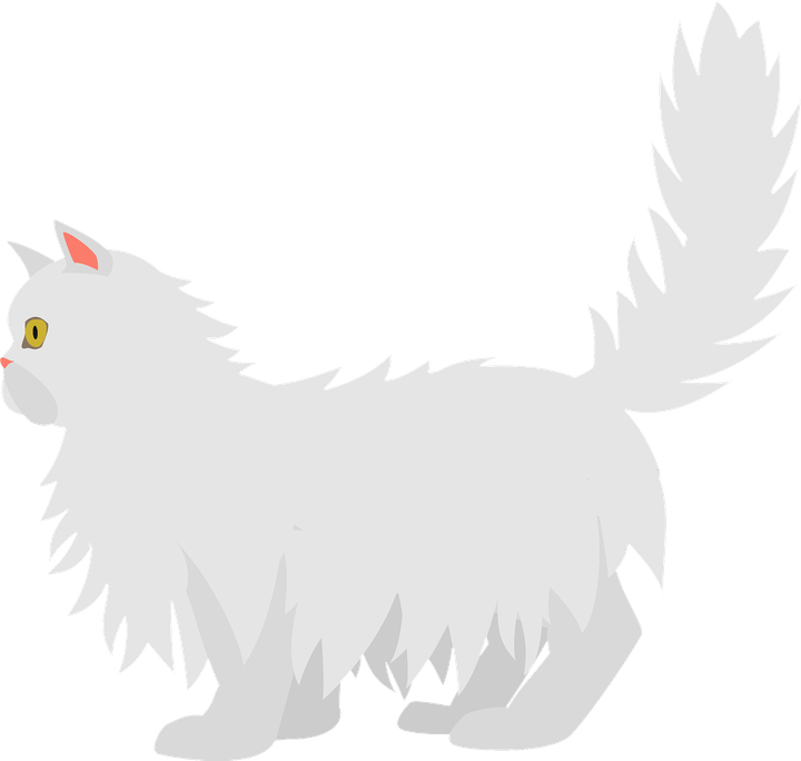 Persian Cat PNG