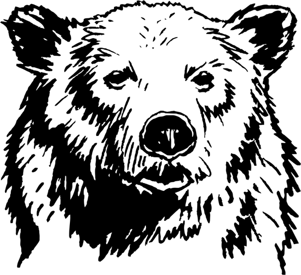 Bears Logo PNG