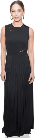Kristin Kreuk PNG