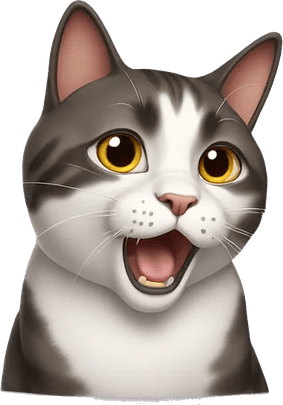 Surprised Cat PNG