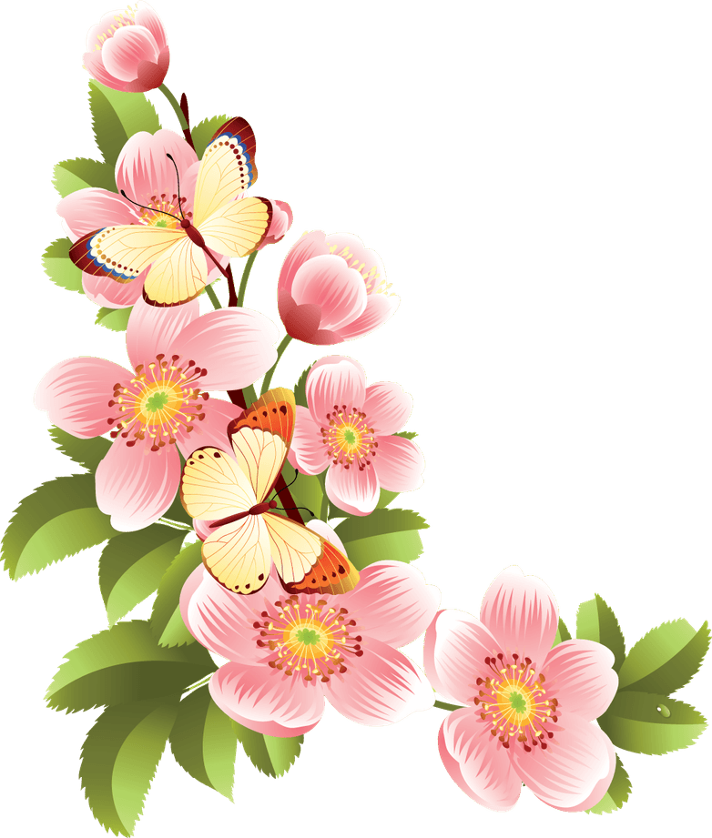 Onam Flower Border PNG