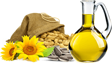Sunflower Oil PNG