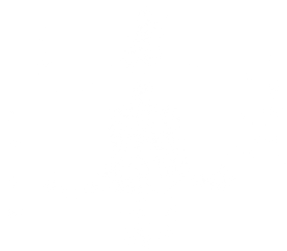 Truth Fma PNG