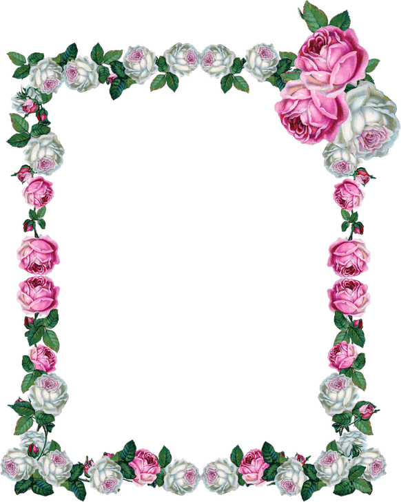 Rose Frame PNG