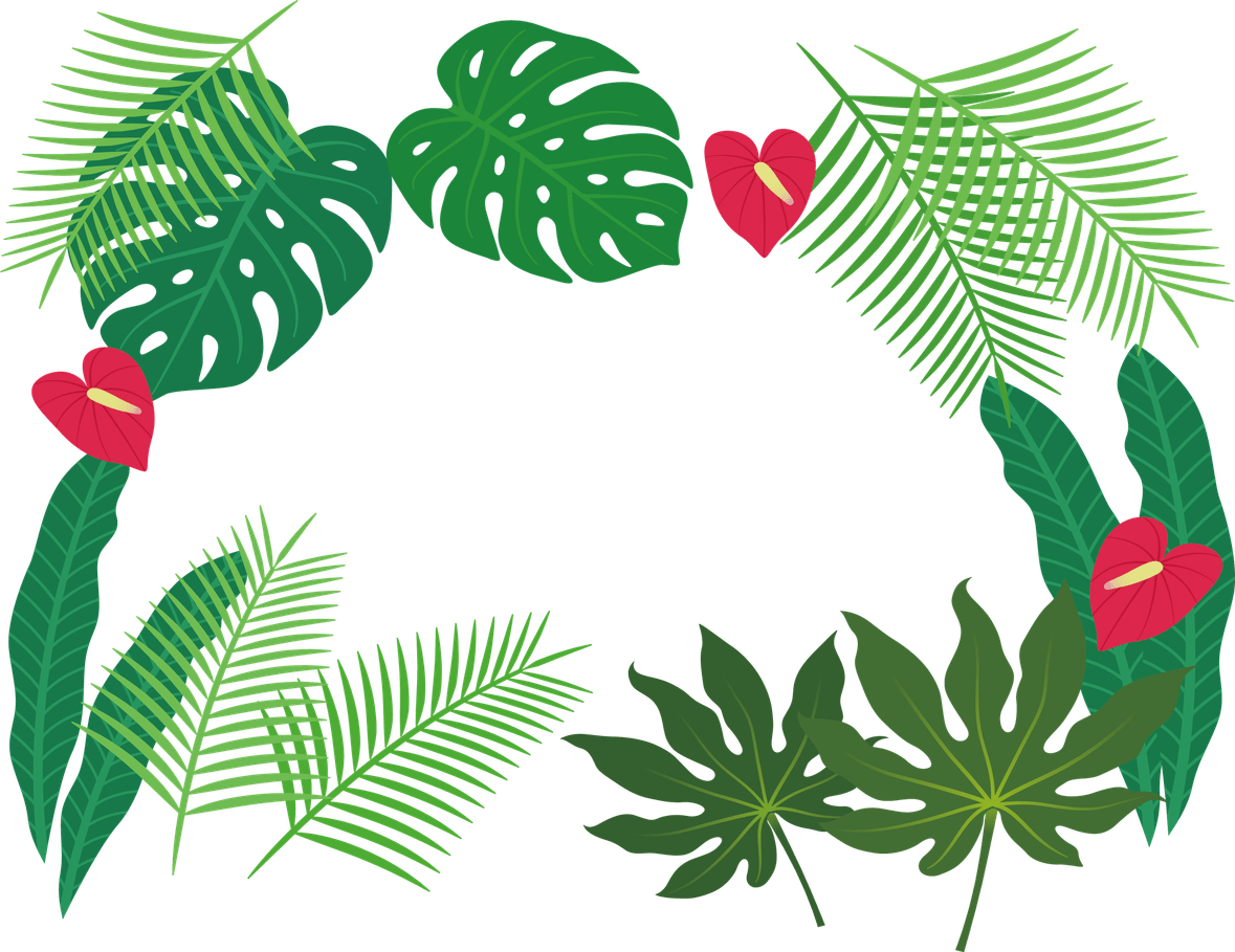 Tropical Border PNG