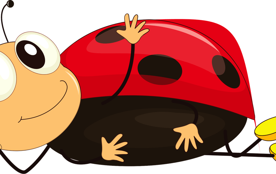 Bug PNG
