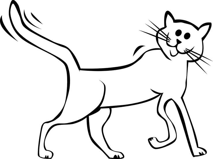 White Black Cat PNG
