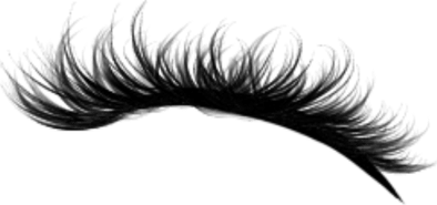 Eye Lash PNG