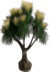 Alien Tree PNG
