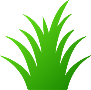 Patch Of Grass PNG