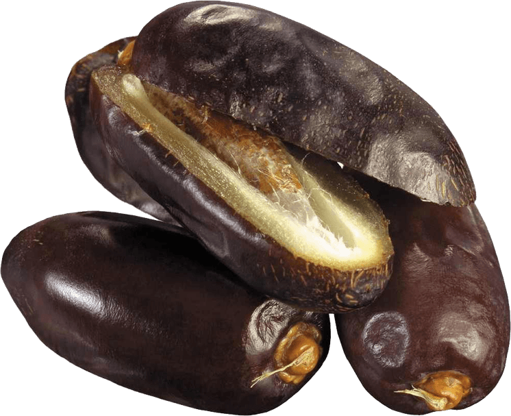 Palm Fruit PNG