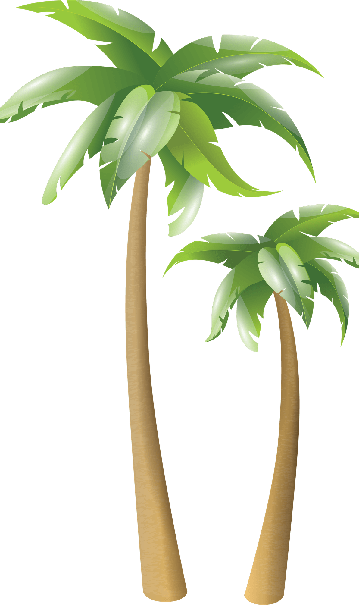 Exotic Tree PNG