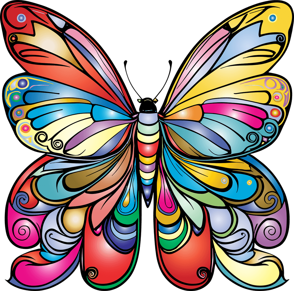 Colorful Butterfly PNG