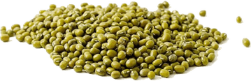 Mung Bean PNG