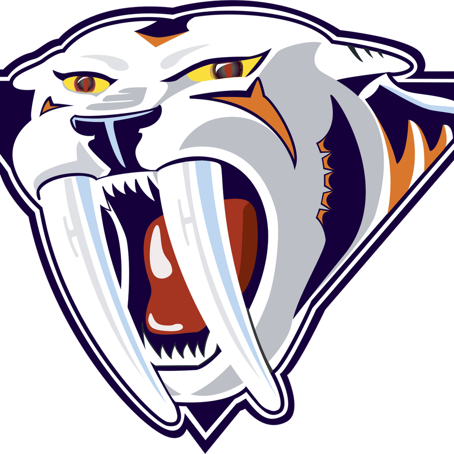 Nashville Predators PNG