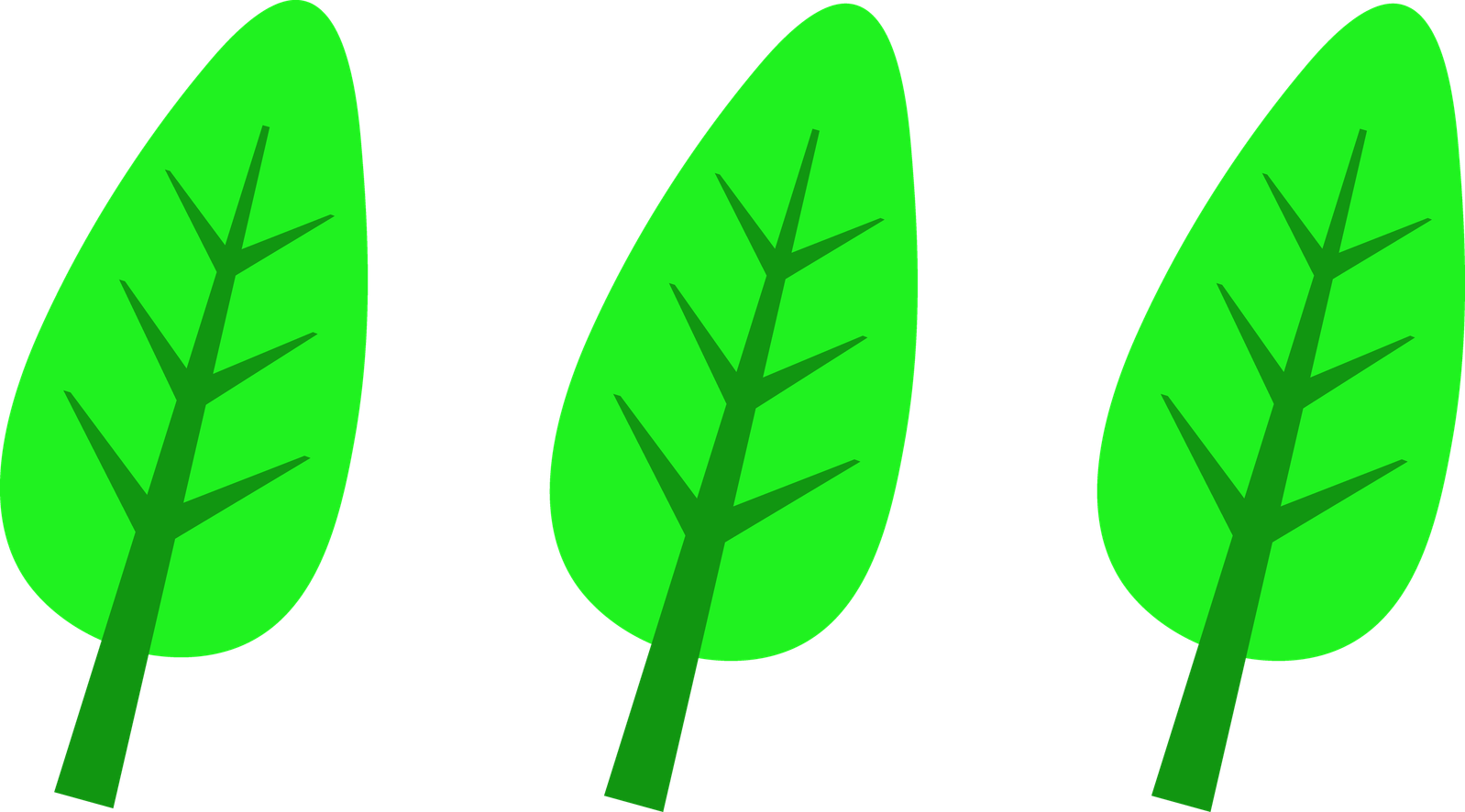 Cartoon Leaves PNG