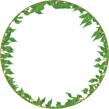 Vine Circle Border PNG