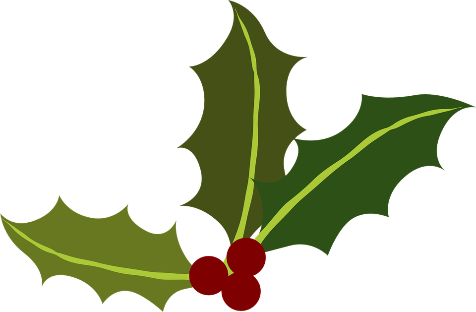 Holly PNG
