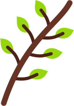 Tree Branch PNG