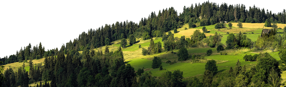 Mountain With Tree PNG