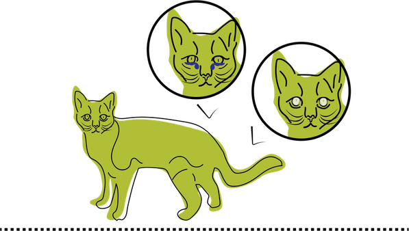 Cat Walking PNG