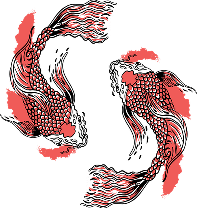Yin Yang Koi Fish PNG