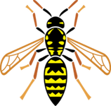 Wasp PNG