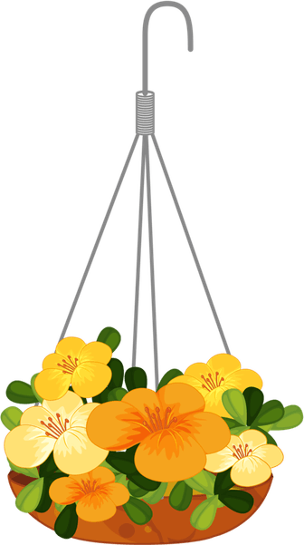 Hanging Flower PNG