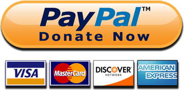 Paypal Donate Button PNG