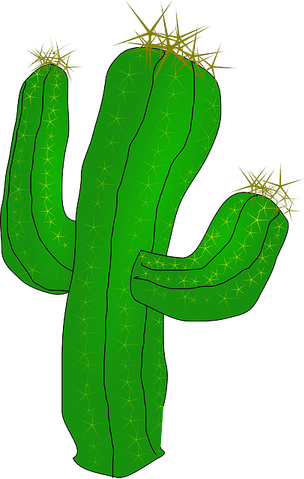 Cartoon Cactus PNG