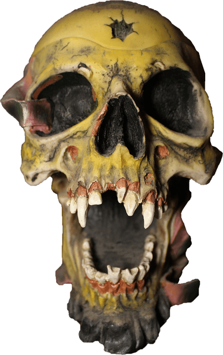 Head Skull PNG