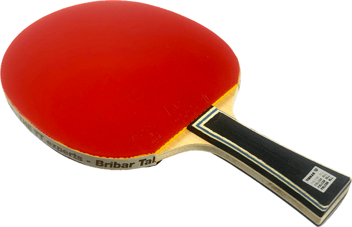 Ping Pong Bat PNG