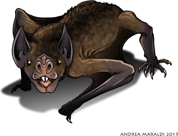 Giant Bat PNG