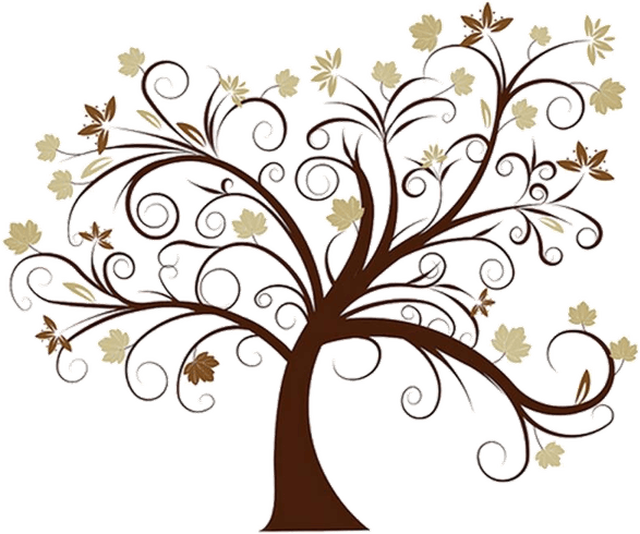 Family Tree PNG