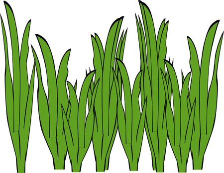 Minecraft Grass 2d PNG