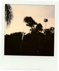 Long Polaroid PNG