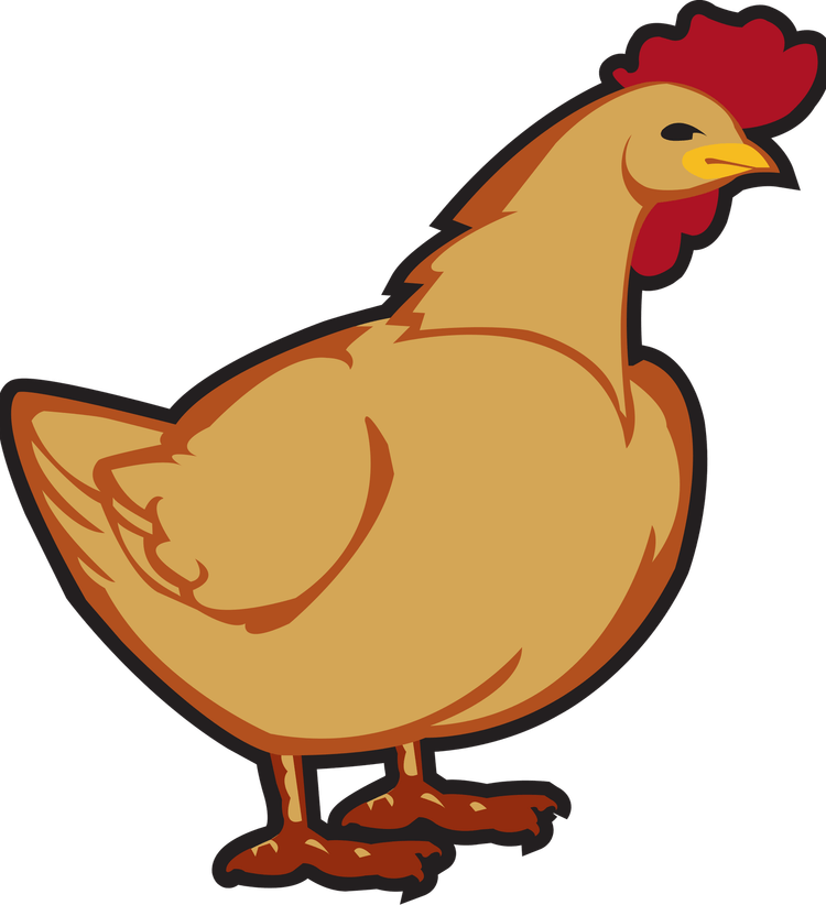Cartoon Chicken PNG