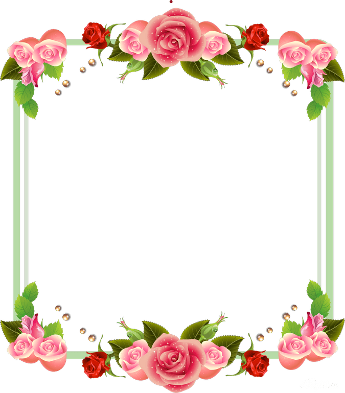 Rose Frame PNG