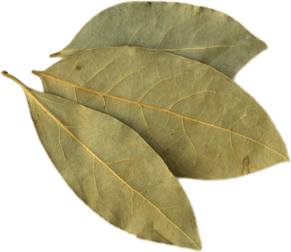 Bay Leaves PNG