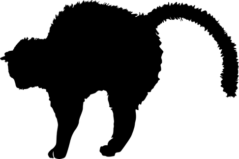 Worried Cat PNG