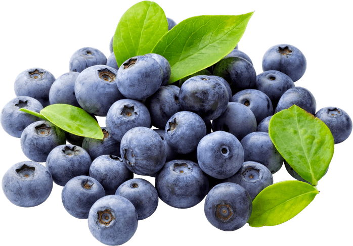 Blueberries PNG