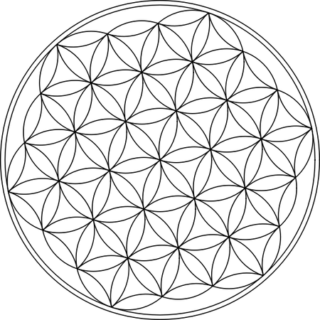 Flower Of Life PNG