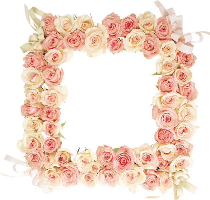 Pink Rose Border PNG