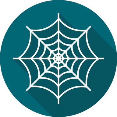 Cobweb PNG