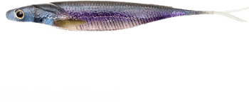 Bait Fish PNG